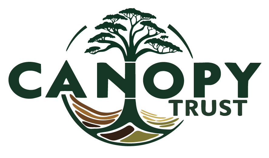 Canopy